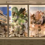 Displays in the Discovery Space of the Museum of Zoology