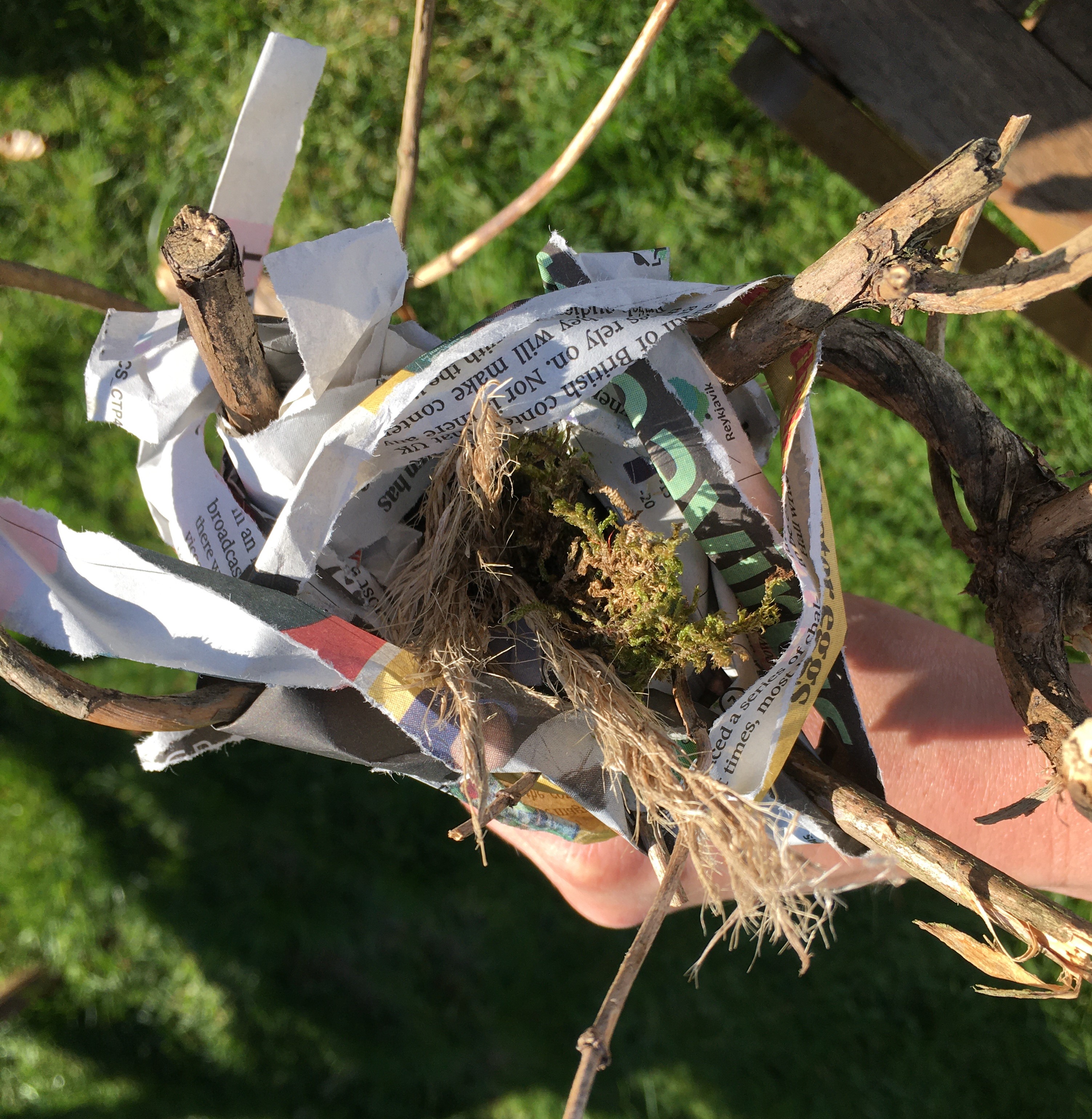 Photograph of a nest crafted from strips of newspaper