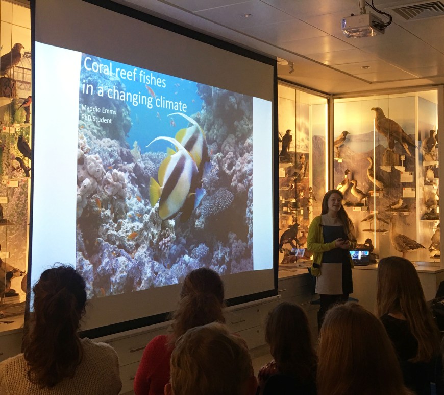 Maddie Emms presenting on IWD2020