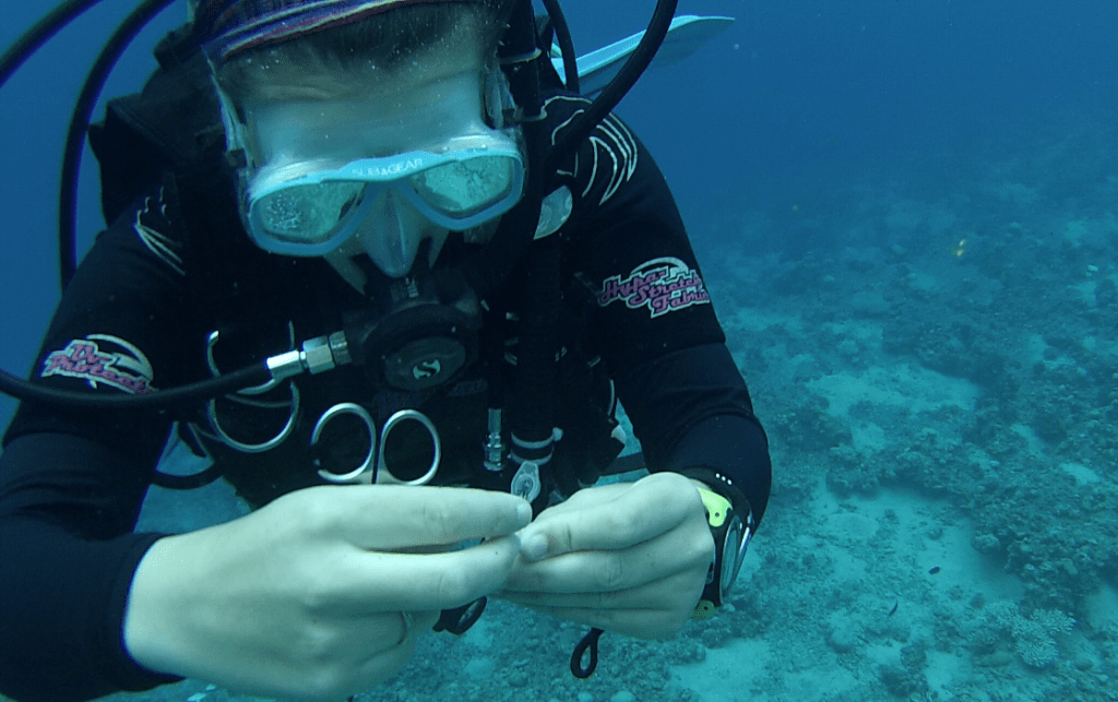 Maddie Emms collecting genetic sample