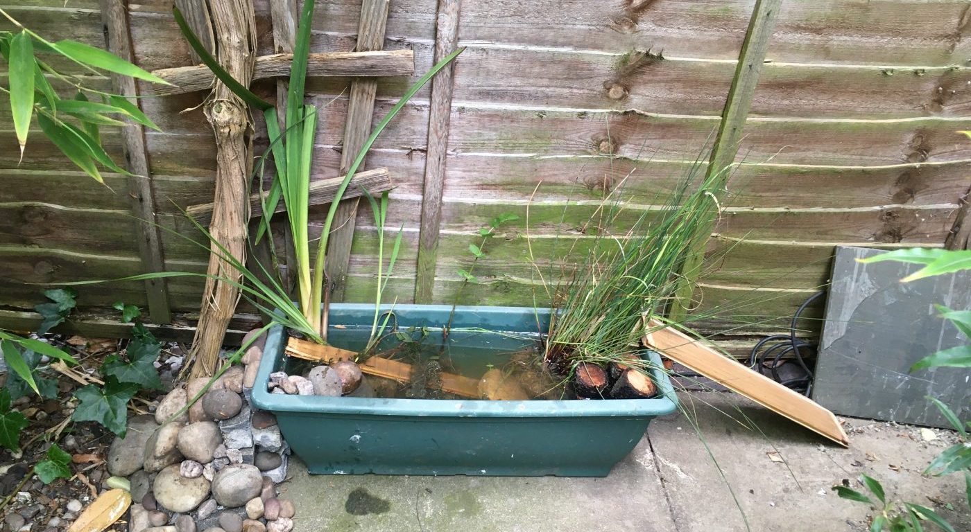 Mini-pond