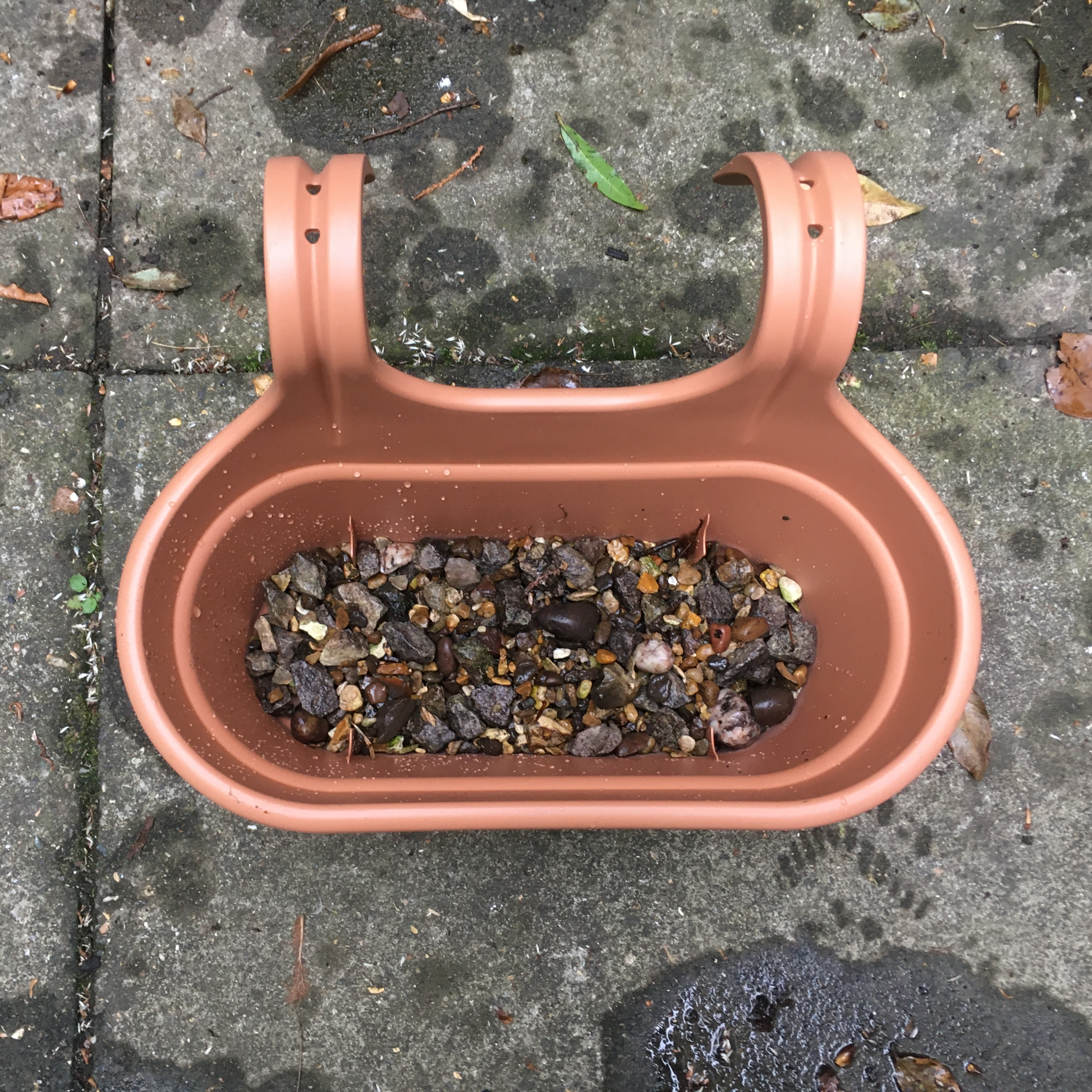 Small planter with gravel