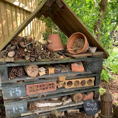Jess's Bug House (aged 5)