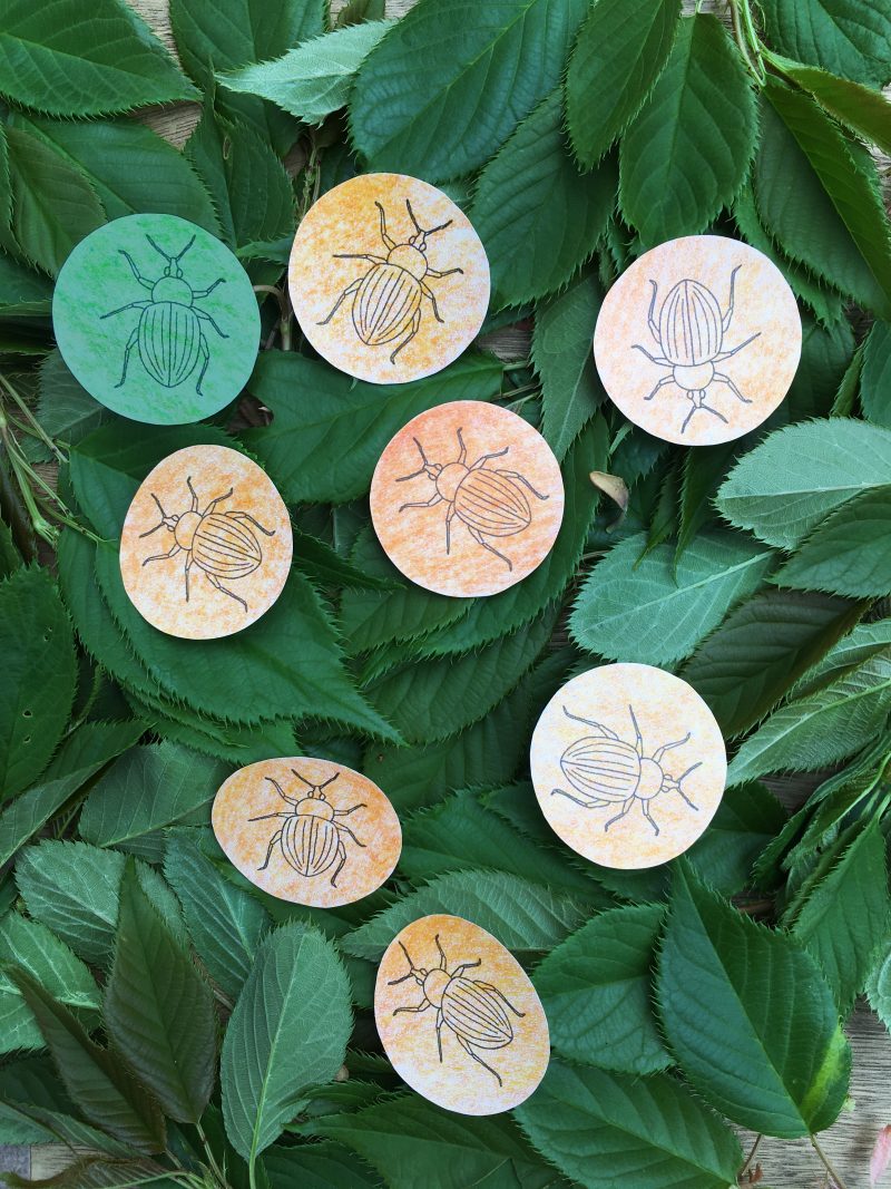 Exploring Evolution through Colour – Museum of Zoology Blog