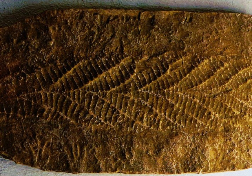 Ghedoghedo / CC BY-SA (https://creativecommons.org/licenses/by-sa/3.0)