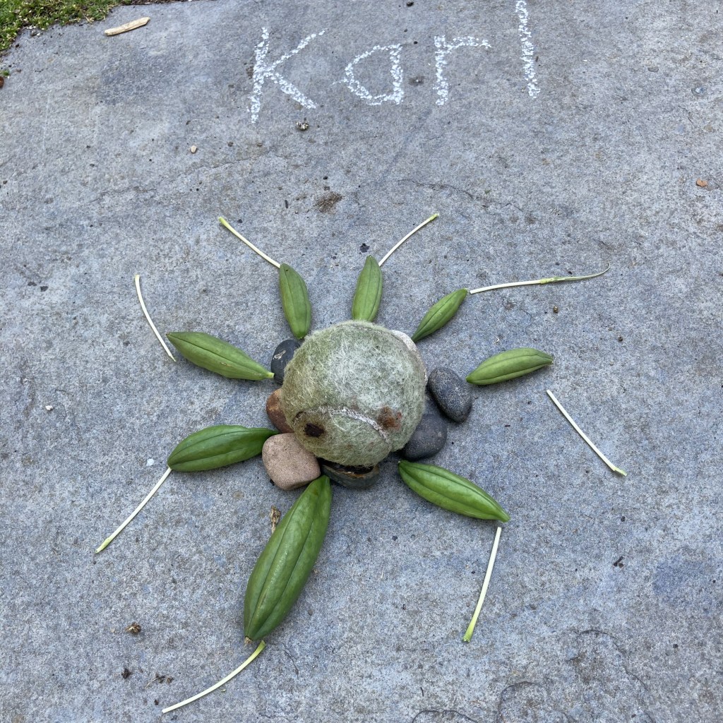 Spider, by Karl aged 7