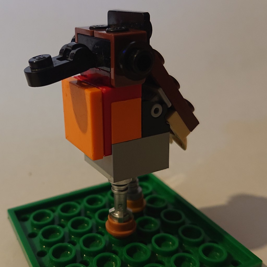 Robin, by Theandra aged 11