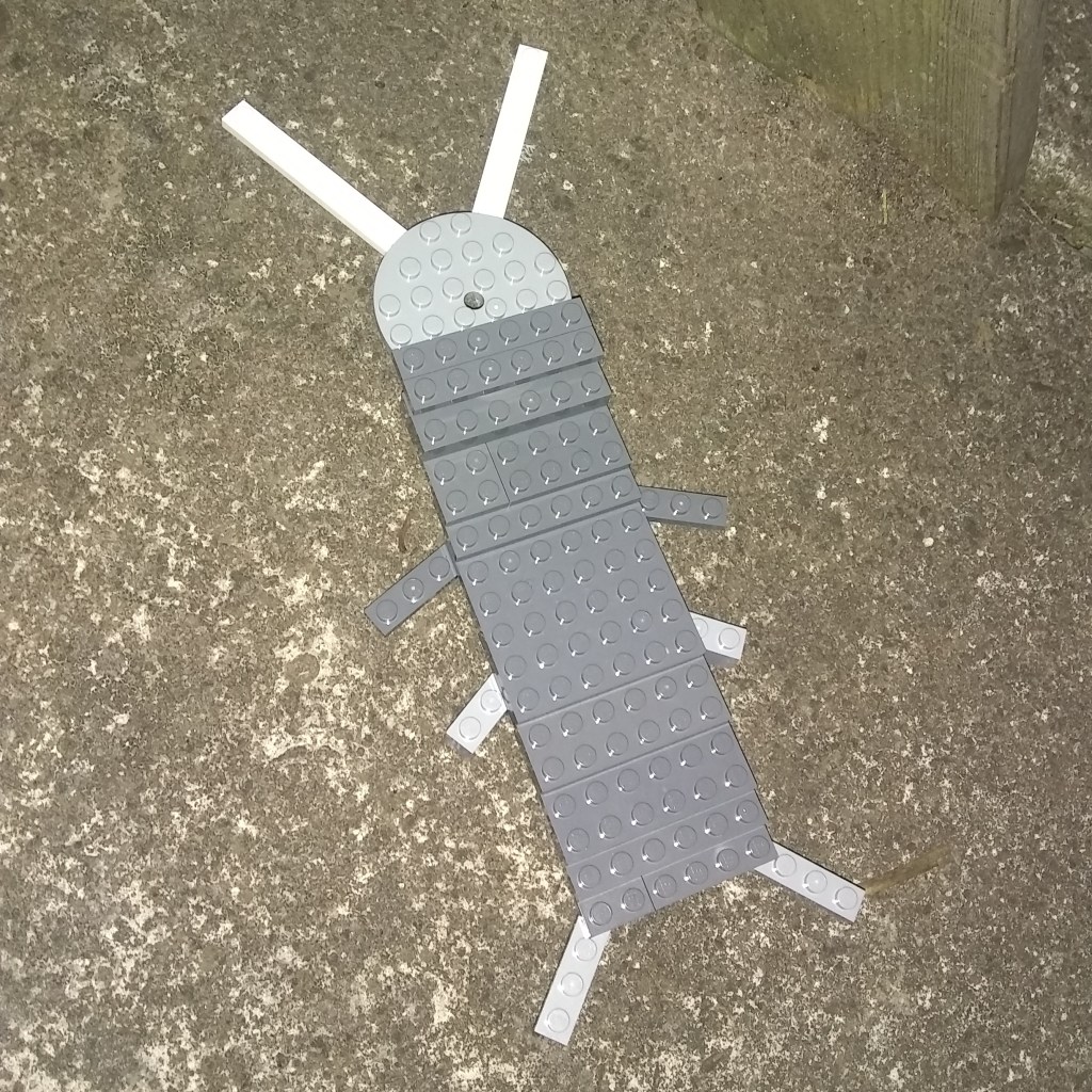 Woodlouse, by Timothy aged 8