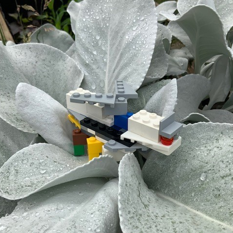 Hawk moth, by Zac and Sam