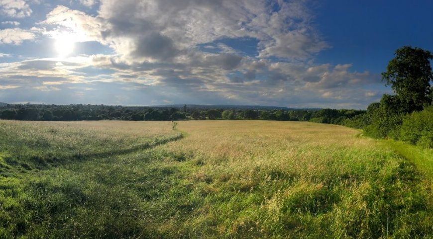 30 days wild, fenland. Credit Kate Howlett
