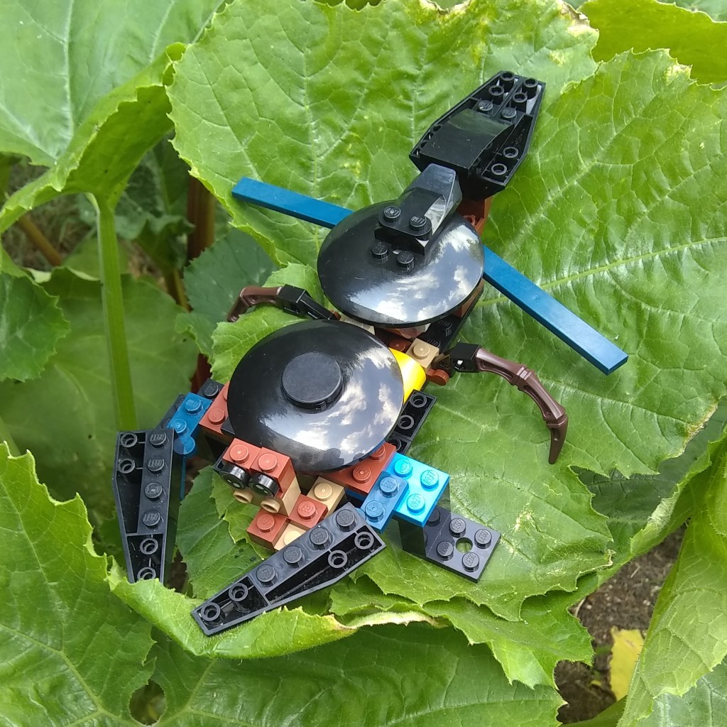 Ant, by Jack aged 11