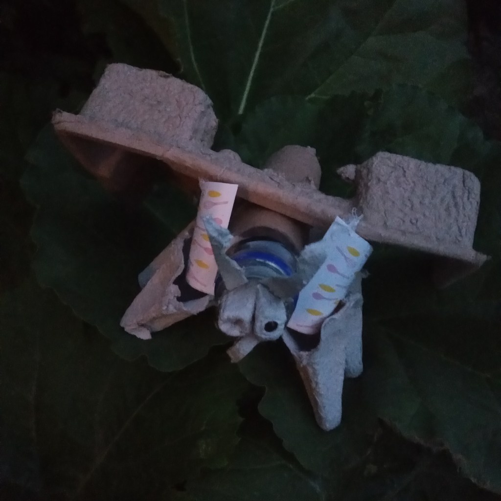 Butterfly, by Jack aged 11