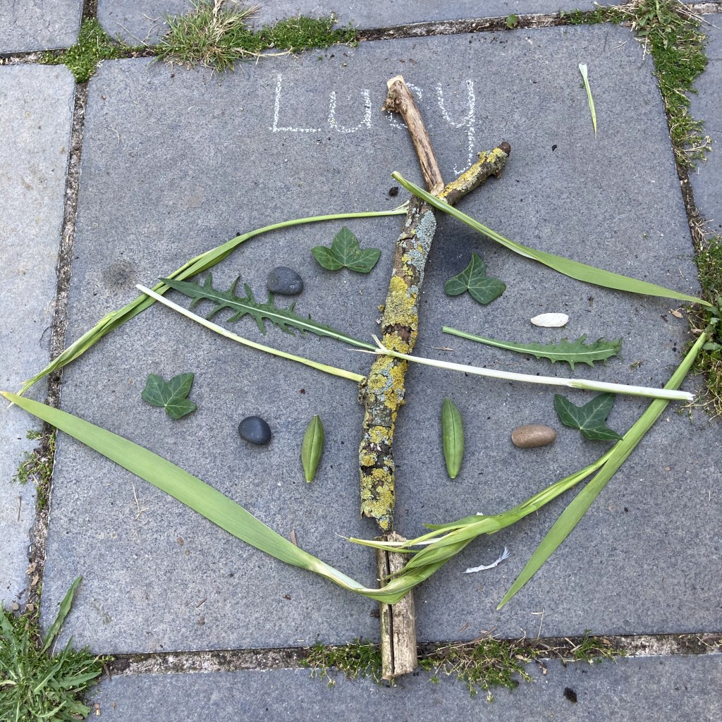 Butterfly, by Lucy aged 6