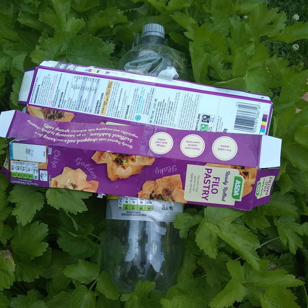 Dragonfly, by Joseph aged 4