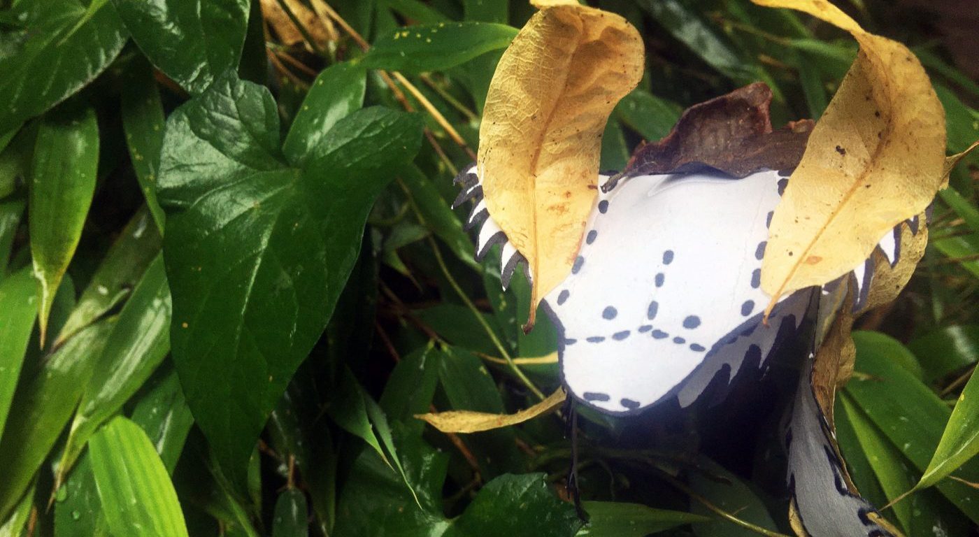 sloth bear craft on background of