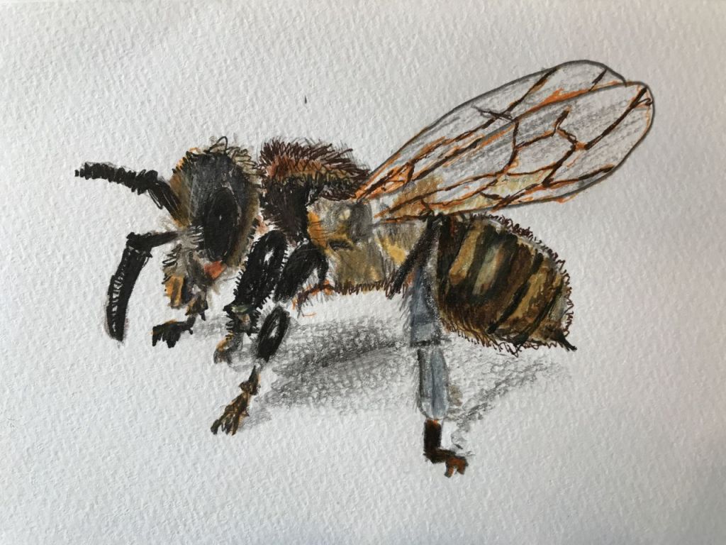 Bee painting, by Maito Shiode