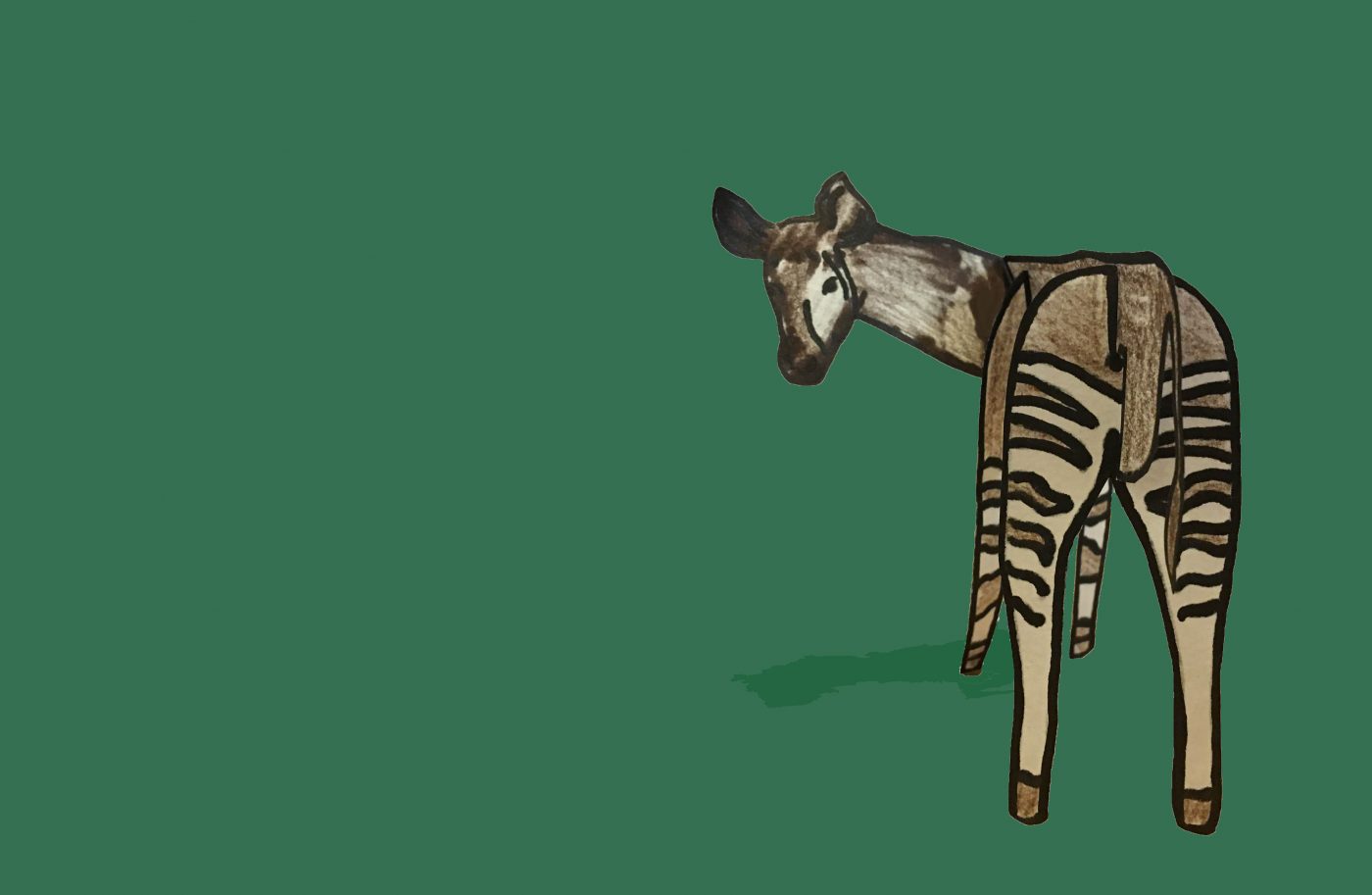 Okapi? Okapi! – Museum of Zoology Blog Okapi? Okapi! – Museum of Zoology Blog