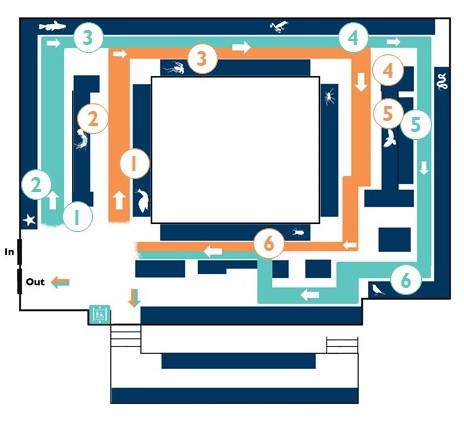Map of the upper gallery of the Museum