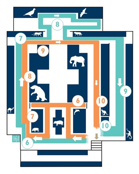 Map of the lower gallery with highlights numbered