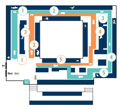 Map of the upper gallery of the Museum with numbered positions of highlights
