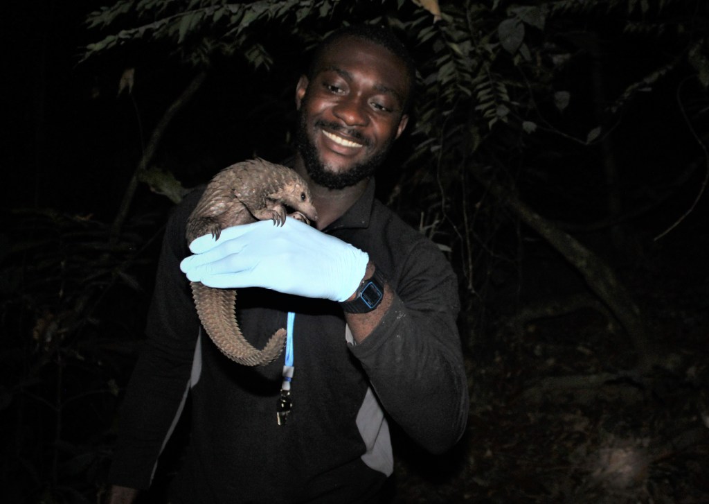 Photograph of researcher Charles Emogor holding a pangolin