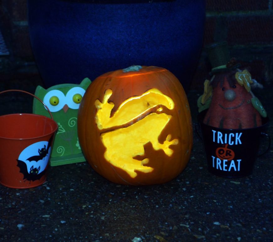 Pumpkin lantern lit from the inside featuring frog design