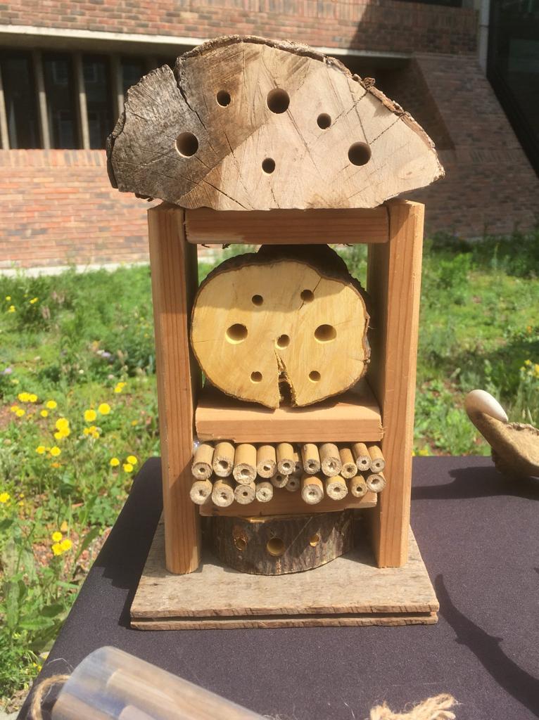 Insect refuge made of a wooden frame with bamboo in one section and logs with holes in them for other sections