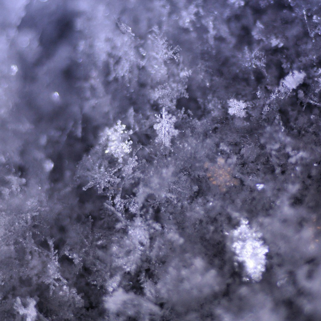 Close up image of snowflakes