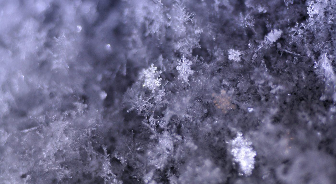 Close up photograph of snowflakes