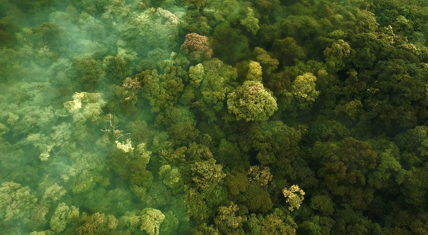 View of a rainforest in Costa Rica from above