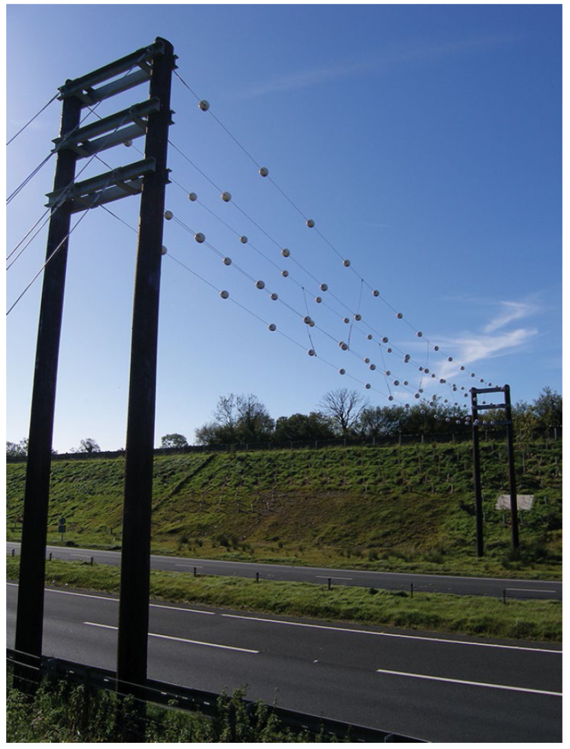Bat gantry over a road. Credit: Anna Berthinussen.