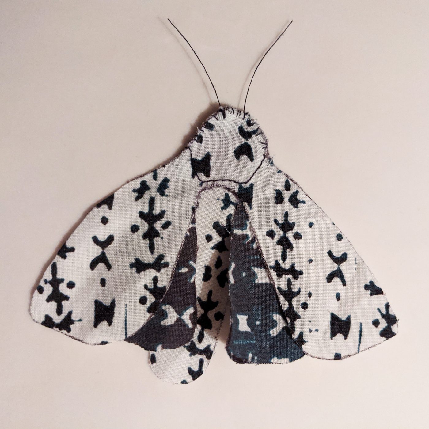 12 Days of Winter Wildlife: Active Insects β Museum of Zoology Blog