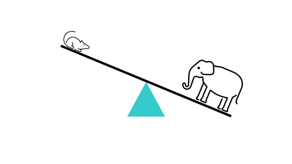 Diagram of a seesaw with a mouse and elephant