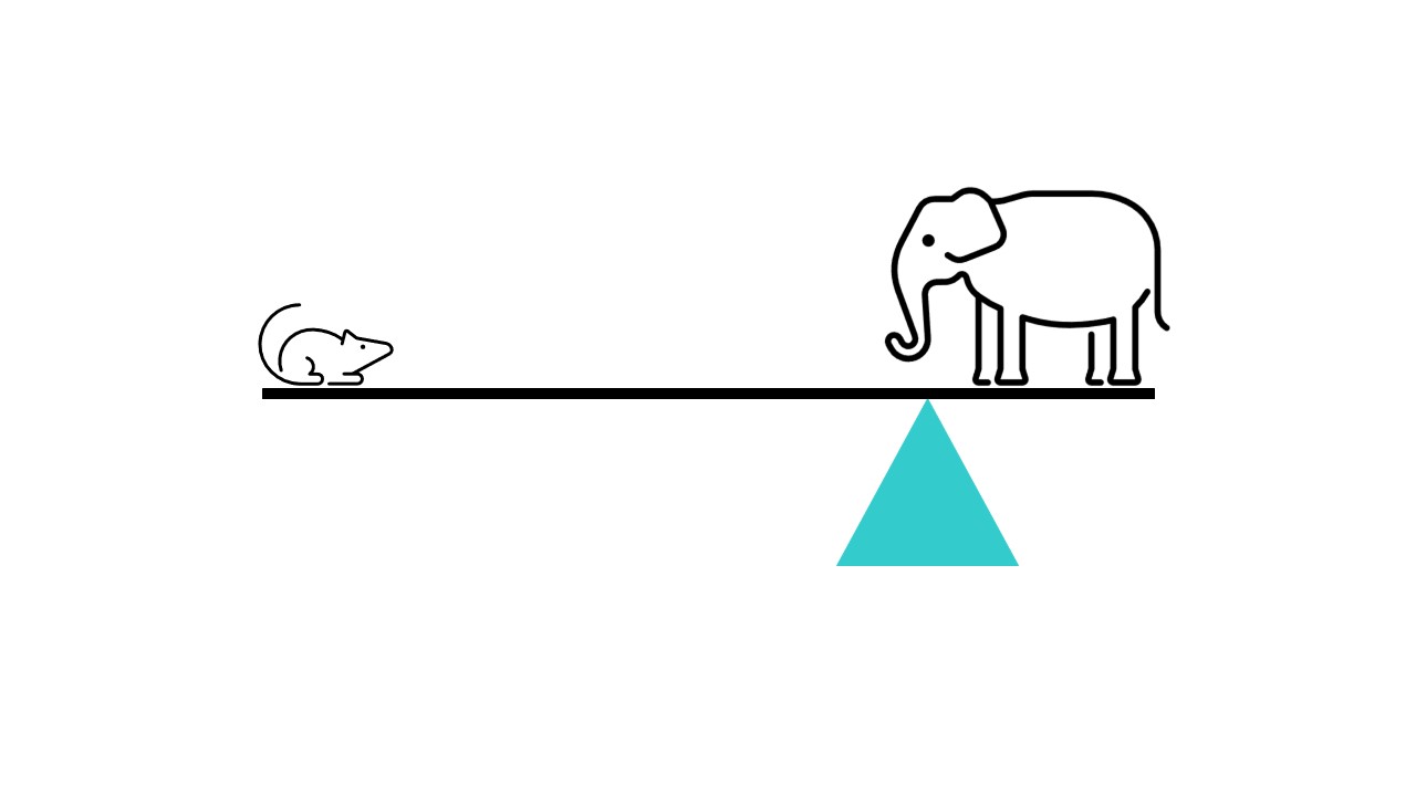 Diagram of a seesaw balancing with