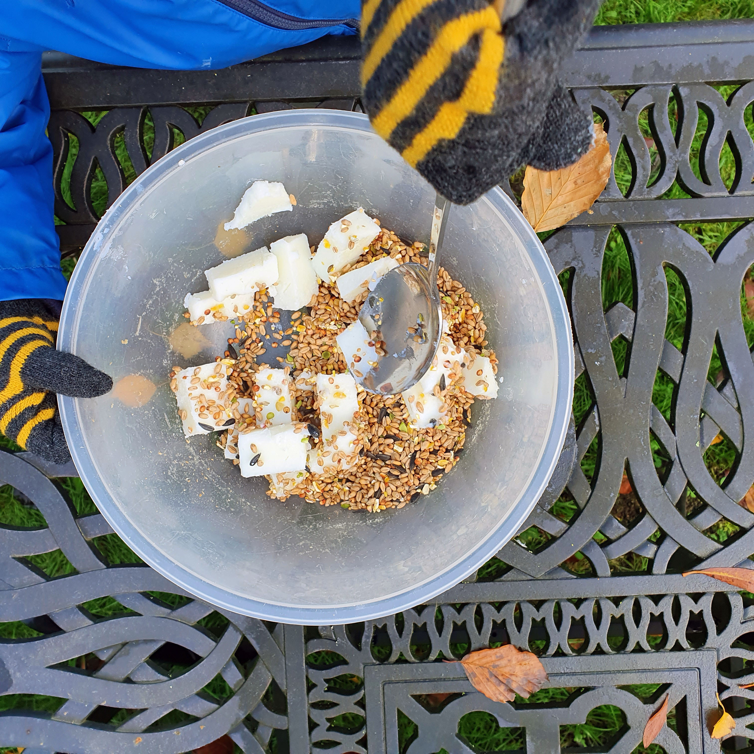 Mixing lard with bird seed to make a seed cake
