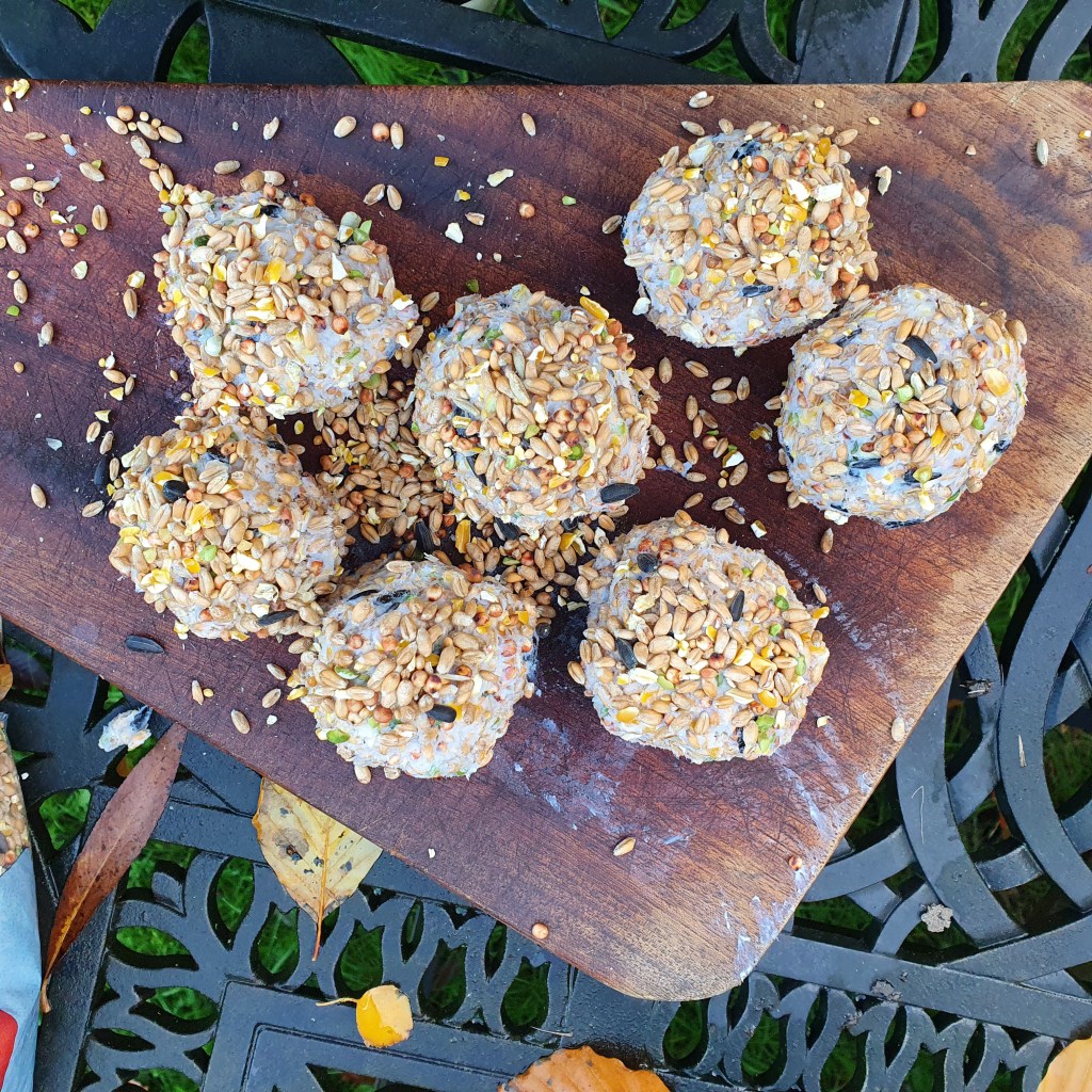 Seed cakes moulded into balls