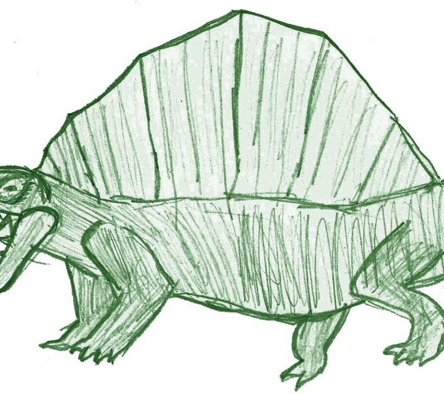Dimetrodon illustration by Alastair age 7 3/4