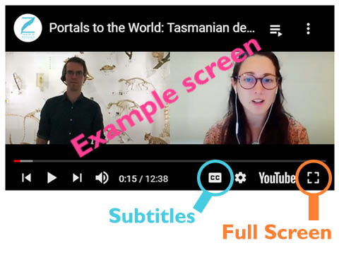 Example of video screen with subtitle and full screen buttons highlighted