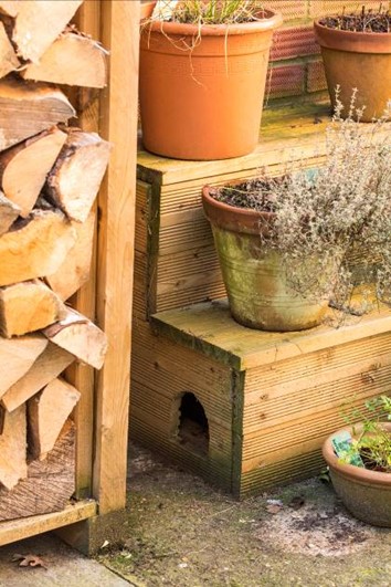 Image of wooden steps holding pots of herbs, with a hole cut in the side for hedgehogs to enter.