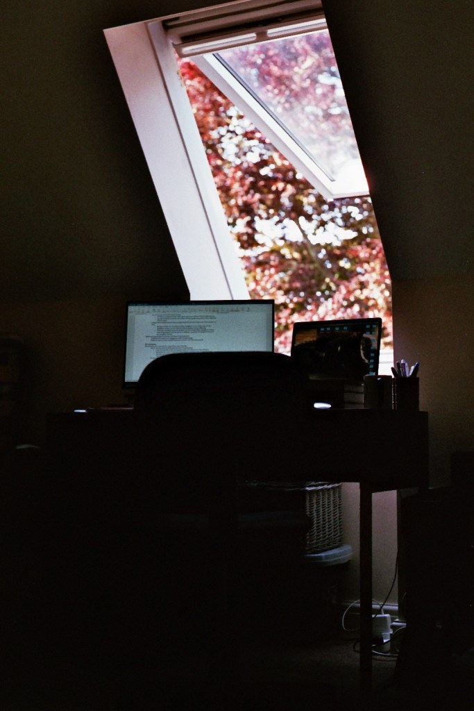 View of an auburn beech through a window