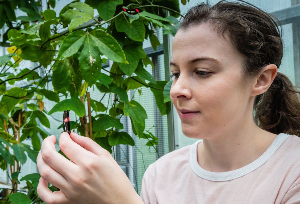 Researcher Kathy Darragh with a heliconius butterfly