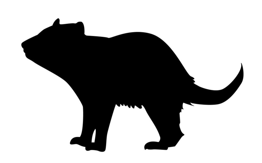 Tasmanian devil silhouette template for art activity