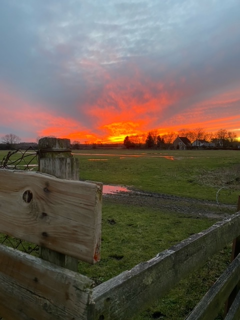 Sunset across a field