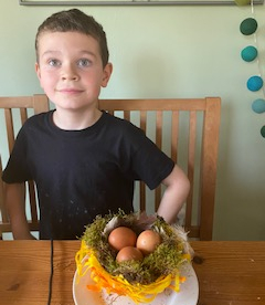 Taylor family nest building - with permission