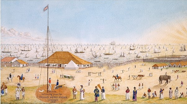Boats returning from the Ceylon Pearl Banks in March 1829