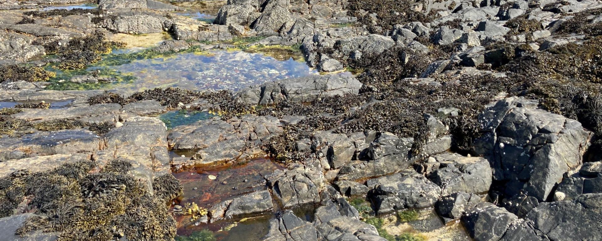 Rockpools on the west coast of Scotland