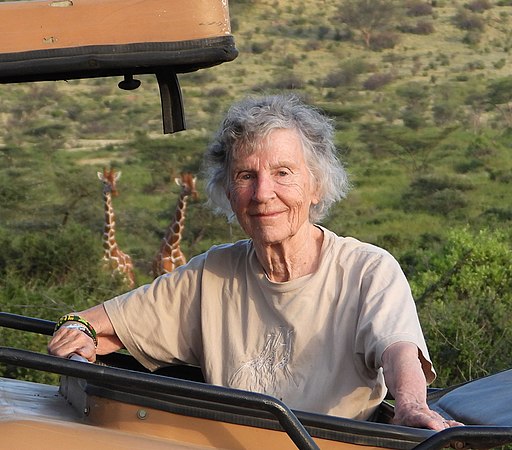 Anne Innis Dagg is an older white woman with grey hair. She is sat with two giraffes in the distance behind her on a green landscape