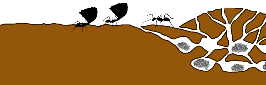 Illustration of ant hill with ants