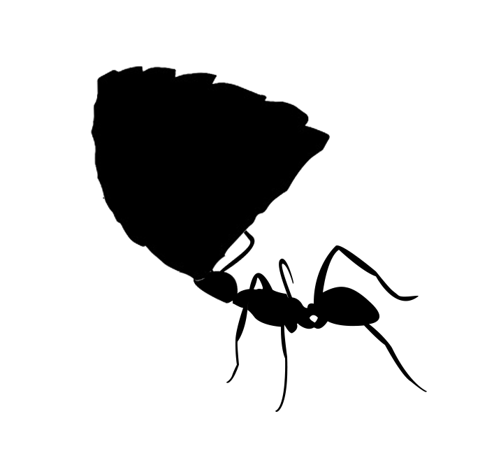 Silhouette of ant carrying a leaf