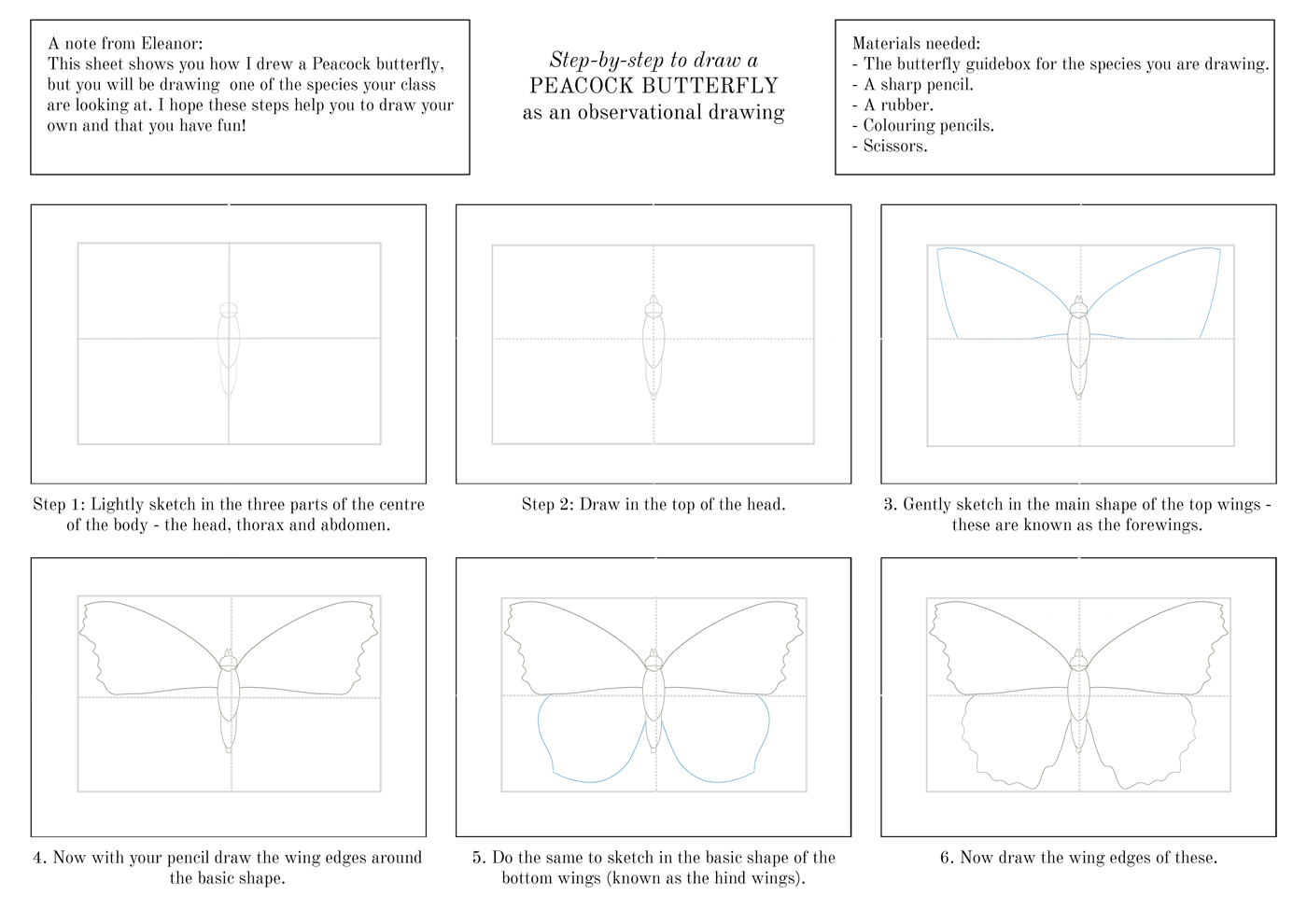 Step-by-step guide to drawing a butterfly 1